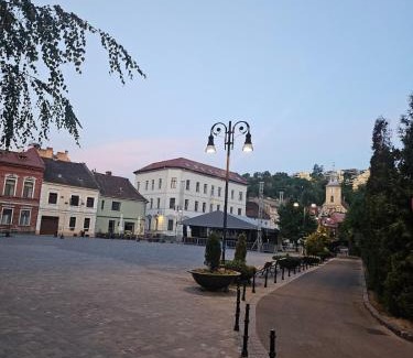 Brasov City Centre Apartment | Astoria apartment