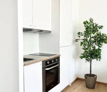 Innere Stadt Apartment | 30 m² Apartment ∙ 1 bedroom ∙ 4 guests