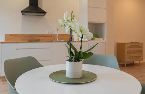 Maceira Apartment | AT Negreira no Camiño