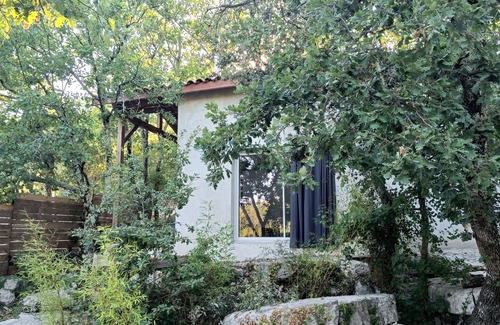 Brujas House | At the edge of the wood