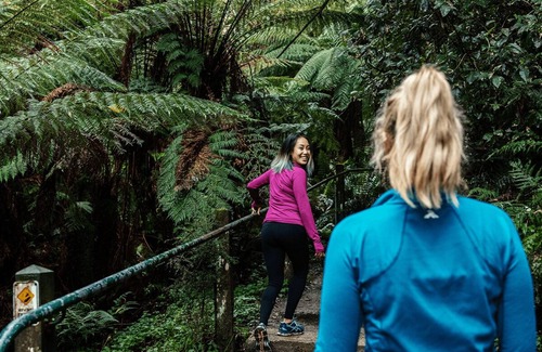 Upper Ferntree Gully Apartment | At the foot of the Dandenongs