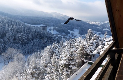 Villard-de-Lans Apartment | AT THE FOOT OF SLOPES BEAUTIFUL and BIG T3 55 m2 WIFI BALCONY SOUTH TOILET AND SDB SEPARATED