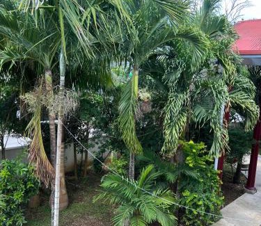 Nuku'alofa Apartment | 'Ataongo's Corner