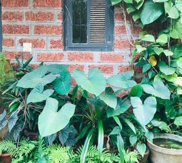Khattalwada House | Atithi Parinay Homestay