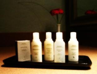 South End Hotel | Atlantica Hotel Halifax