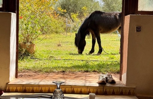 Aghouatim Hotel | Atlas Farmhouse Marrakesh