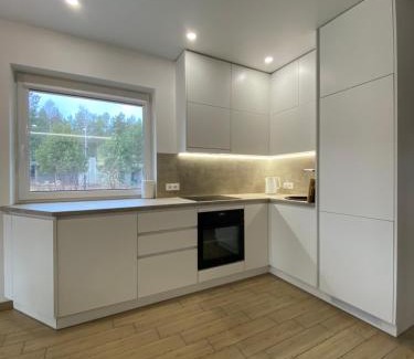 Druskininkai Apartment | Atostogų namas Twins
