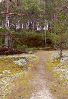 Mersrags House | Atpūtasvietapiejūras Kotedža Piekrastē