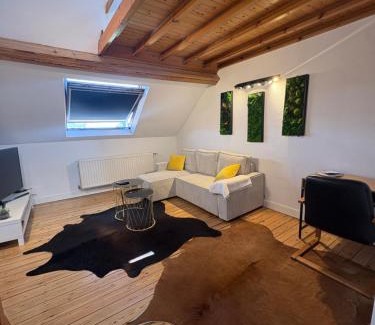 Plasky Apartment | Attic European Quarter