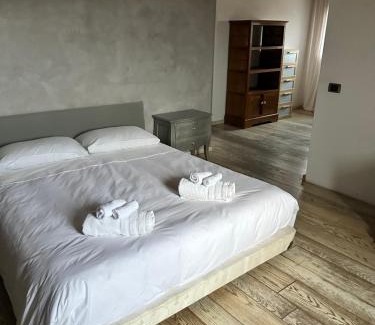 Pavia Apartment | Attico centro storico