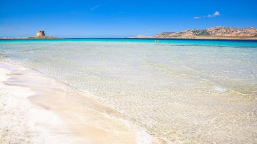 Porto Torres Apartment | Attico La Fioriera