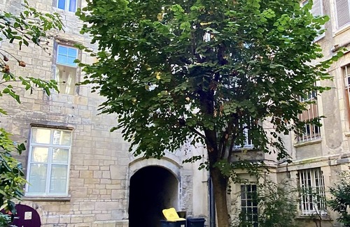 Centre Ancien Apartment | Atypical apartment in the historic center