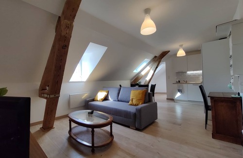 Saint Joseph/Mittelharth Apartment | Atypical apartment with free private parking