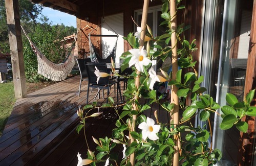 Leon House | Atypical wooden house with heated pool: Pine forest, ocean and calm
