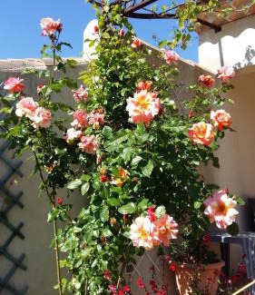 Pujaut Bed & Breakfast | Au Bon Penequet