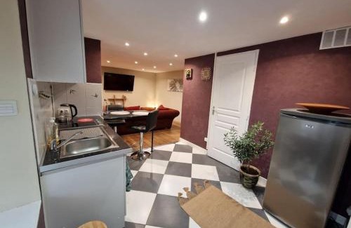 Rives de Meurthe Apartment | Au bord du canal
