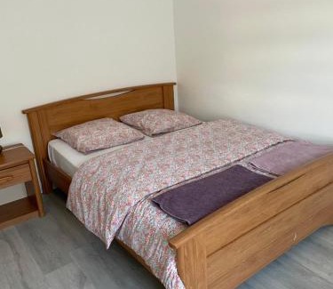 Saint-Etienne-les-Remiremont Apartment | Au cœur des Vosges