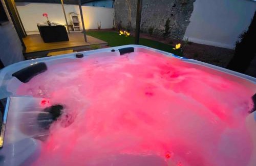 Nouan-sur-Loire House | Au charmant sarment