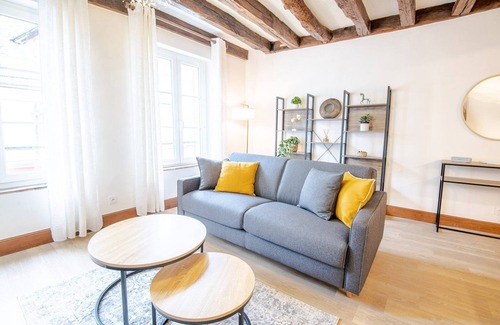 Amboise Apartment | Au charme Amboisien - Superbe appart