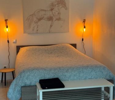 Chaleins Apartment | Au Chevaleins
