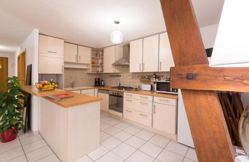 Sigolsheim Apartment | Au Cocon des Cigognes