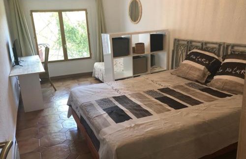 Ceret Apartment | Au coeur de ville avec terrasse