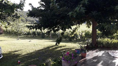 Parnac House | Au coeur des vignes