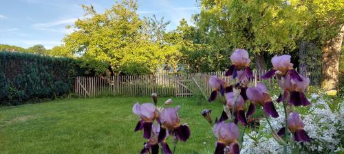 Ath House | Au coquelicot : gîte cosy pour 8 pers. avec jardin