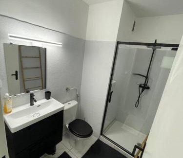 Erstein Apartment | Au Cosy Studio II proche Europapark