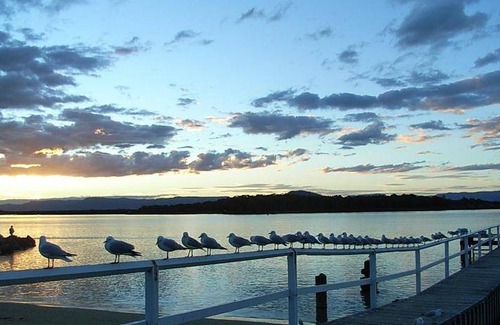 Culburra Beach Hotel | 32 m² Motel ∙ 8 guests