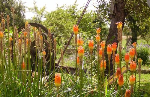 Theillay Bed & Breakfast | Au Grand Pré