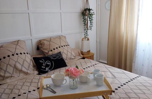 Bethune Apartment | Au Nid d'or : Appartement Tout confort Hyper Centre Béthune