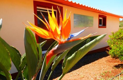 Prazeres House | Au petit Madère