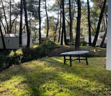 Camiers Other | Au petit paradis