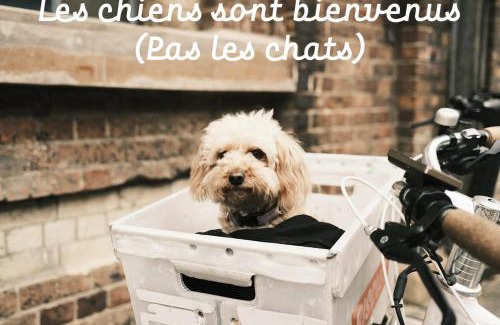 Vienne Apartment | Au petit Vélo de Vienne - Balcon, Vue Panoramique & Parking gratuit