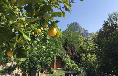 Vence Bed & Breakfast | Au Pied des Baous