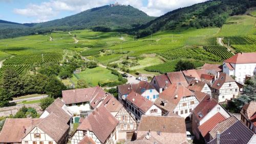 Saint-Hippolyte Apartment | Au pied du Haut Koenigsbourg 2