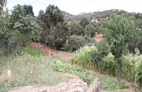Bab Boudir Hostel | Auberge Admame