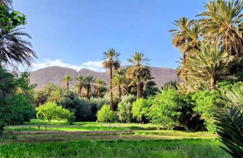Toudgha El Oulia House | Auberge ALI
