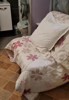 Saint-Quentin-Fallavier Hotel | Auberge de l'Europe