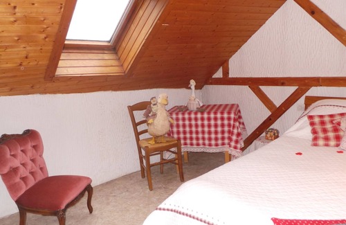 Sainte-Marie-aux-Mines Hotel | Auberge de la Canardière