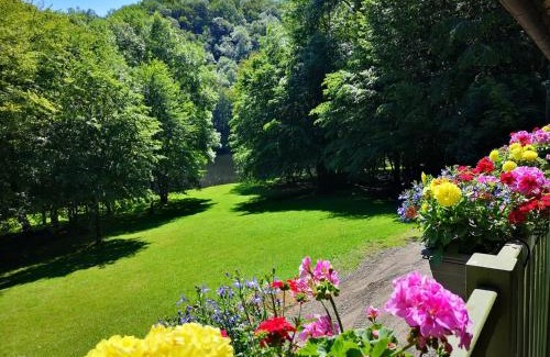 Baraize Other | Auberge de la Plage