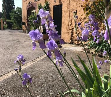 Meounes-les-Montrieux Hotel | Auberge De Pachoquin