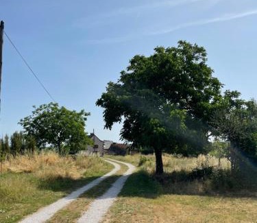 Loze Bed & Breakfast | Auberge des Riders