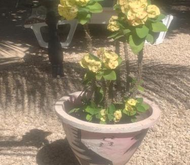 Ouoran House | Auberge Keur Ely