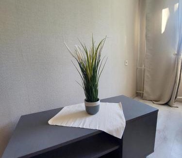 Agenskalns Apartment | Auerbachs Apartment