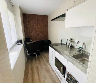 Steinbach Apartment | Auf der Alm 21 N.6