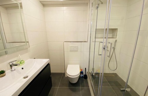 Steinbach Apartment | Auf der Alm 21 N.6