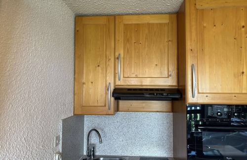 Auris Apartment | Auris en Oisans: Apt for 4, 250m from slopes, balcony, free parking, pets allowed