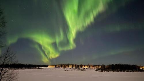 Rovaniemi Apartment | Aurora Forest Cabin